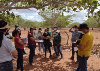 Foto: Divulgação / Emater Mossoró