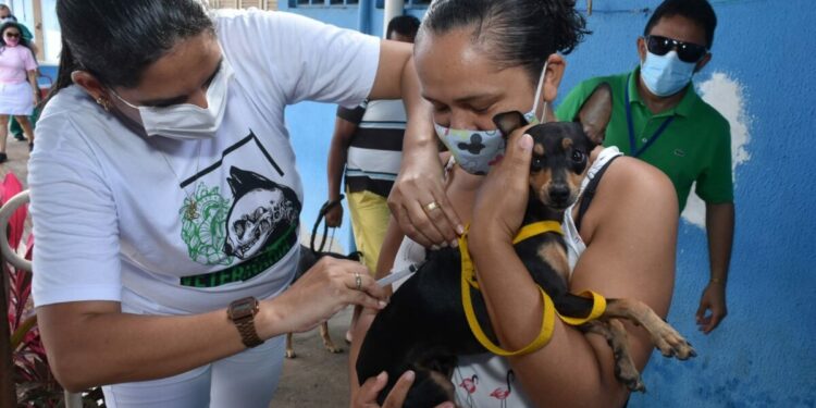 Foto: Joana Lima / Prefeitura de Natal