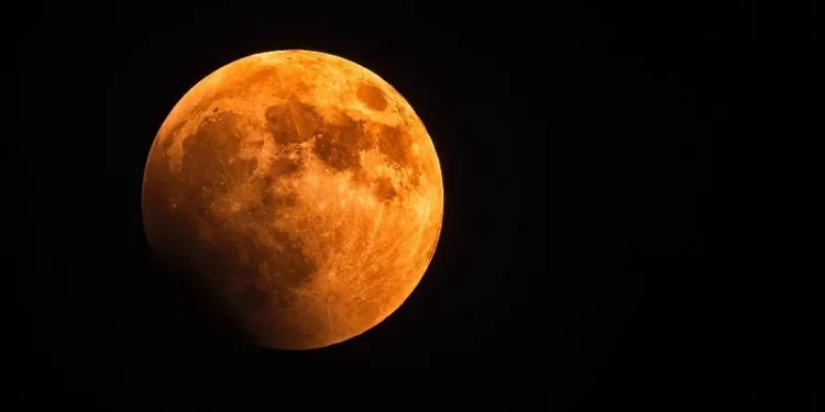 Foto: Reprodução/Pexels