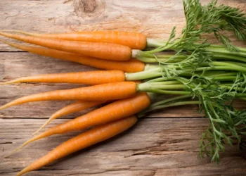 Foto: Envato Elements