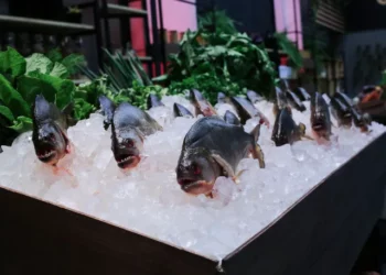 Foto: Melissa Haidar/Band