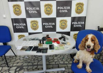 Foto: Polícia Civil