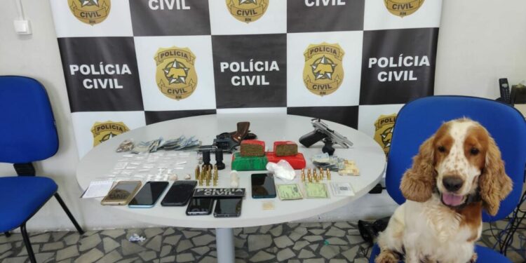 Foto: Polícia Civil