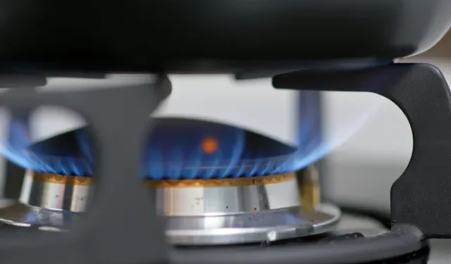 Foto: Envato Elements
Quando usar