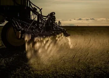 Foto: Wenderson Araujo/Trilux/CNA