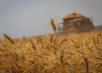 Foto: Wenderson Araujo/Trilux/CNA