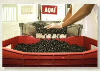 Foto: Reprodução/Band