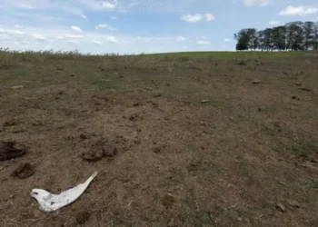 Foto: Fábio Pozzebom/Agência Brasil.