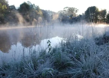 Foto: Paulo Kurtz/Embrapa