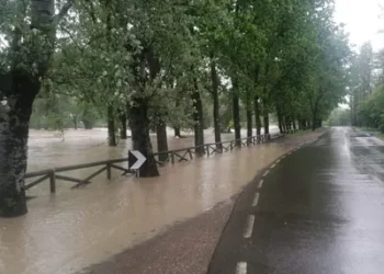 Foto: Comune de Ímola