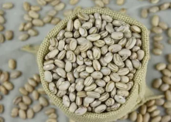 Foto: Sebastião de Araújo/Embrapa