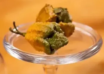 Foto: Reprodução/Guiness Book