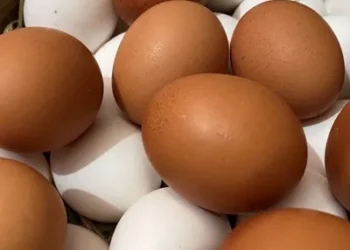 Foto: Divulgação/Governo Federal