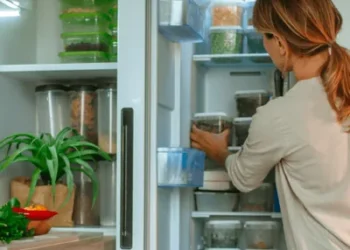 Foto: Envato Elements