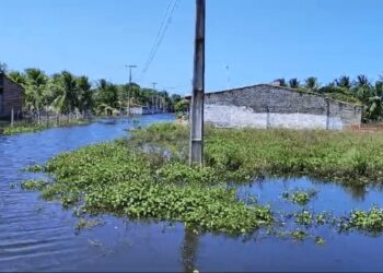 Comunidade Cavaco Chinês, em Pajuçara, que está submersa há mais de dois meses. - Foto: Julianne Barreto.