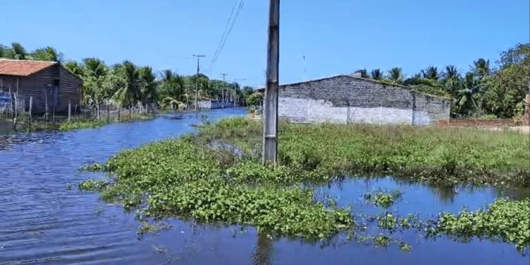 Comunidade Cavaco Chinês, em Pajuçara, que está submersa há mais de dois meses. - Foto: Julianne Barreto.