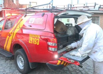 Foto: Corpo de Bombeiros do RN.