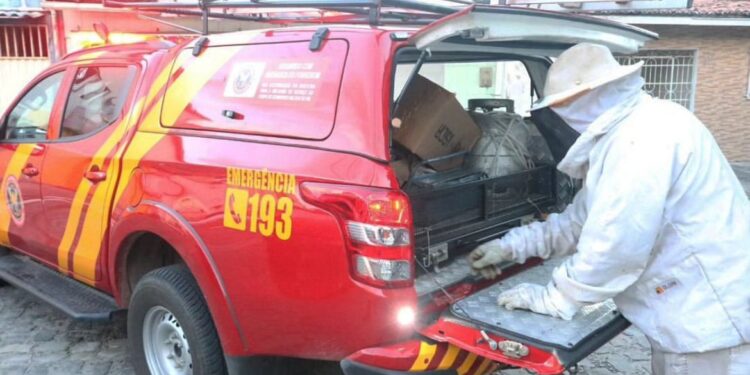 Foto: Corpo de Bombeiros do RN.