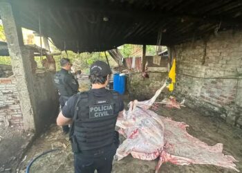 Foto: Reprodução Polícia Civil