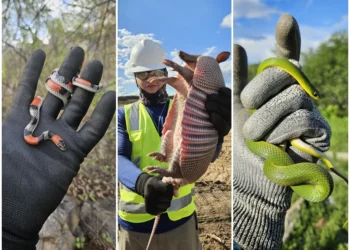 Foto: Lucas Paulyno / Governo do RN