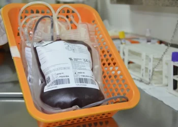 Foto: Nielcem Fernandes/Governo do Estado.