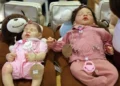 Bebês reborns em apresentação, em Brasília
Valter Campanato/Agência Brasil