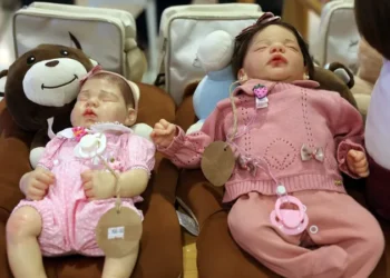 Bebês reborns em apresentação, em Brasília
Valter Campanato/Agência Brasil