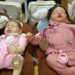 Bebês reborns em apresentação, em Brasília
Valter Campanato/Agência Brasil