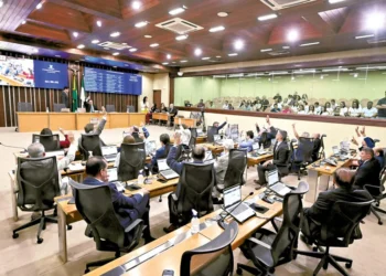 Foto: João Gilberto