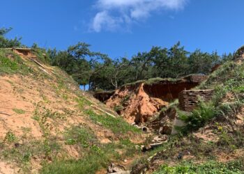 Foto: Elias Bernardo/ Band RN.