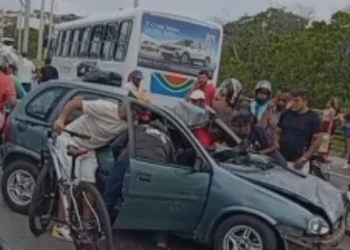 Foto: Reprodução.