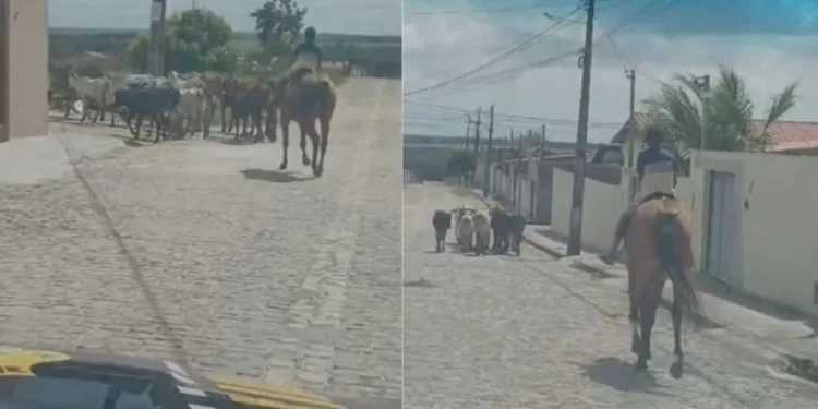 Foto: PRF/Divulgação