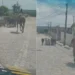 Foto: PRF/Divulgação