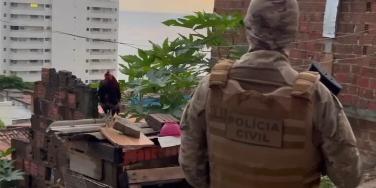 Foto: Reprodução Polícia Civil