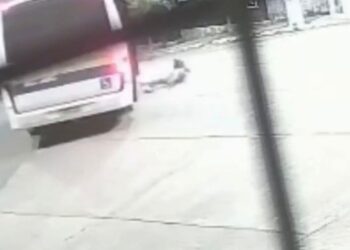 Foto: Reprodução Redes Sociais