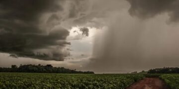 Foto: Fernando Dias/Seagri